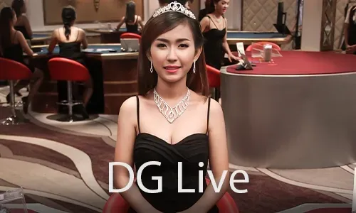 Beginner's Guide to Live Casino